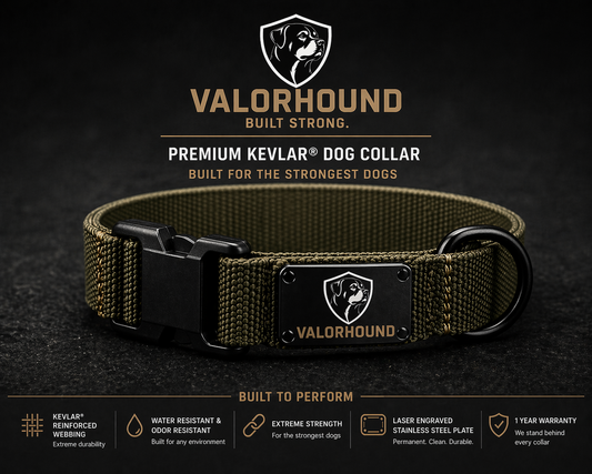Premium Kevlar Dog Collar